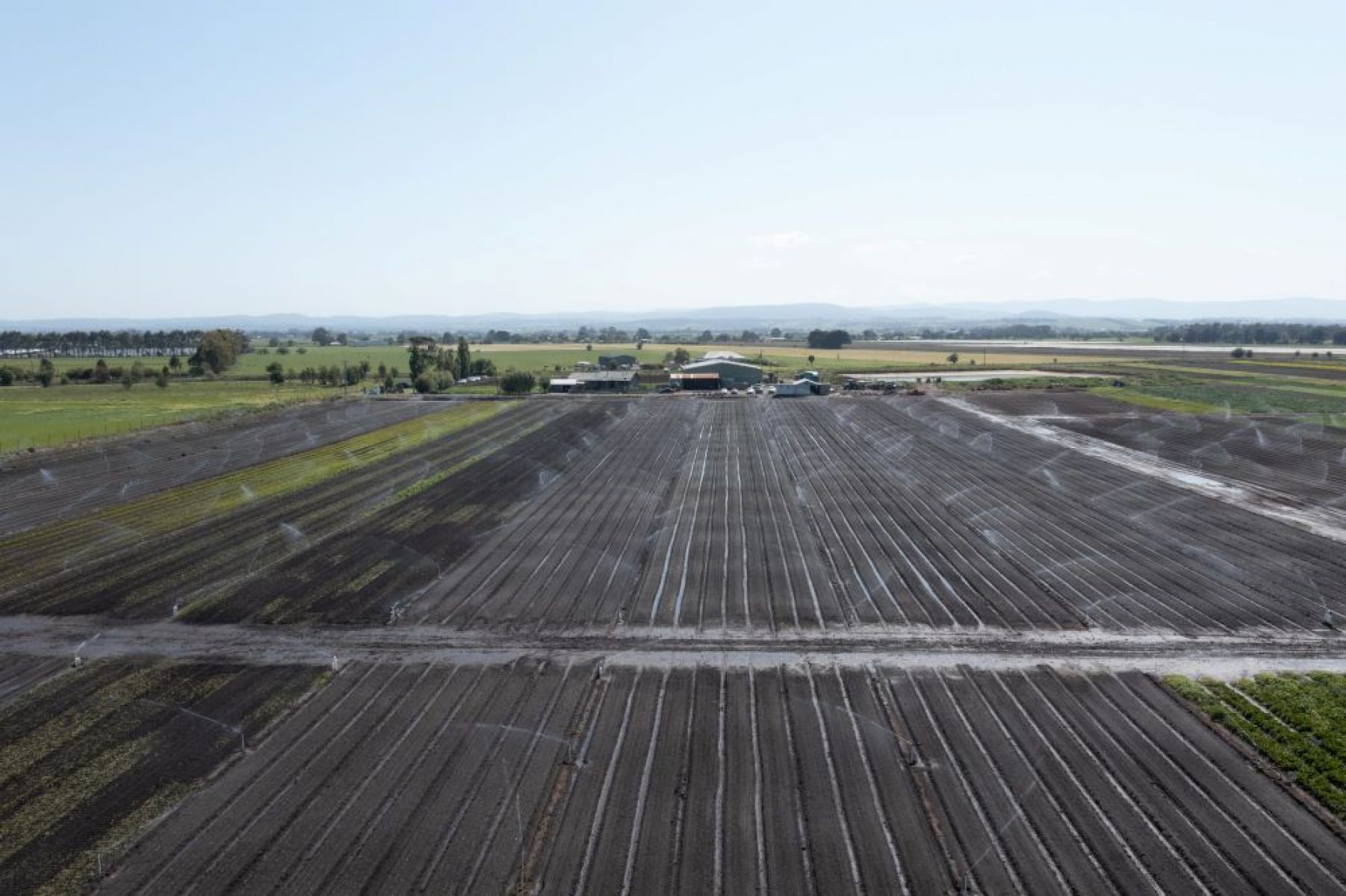 water in field