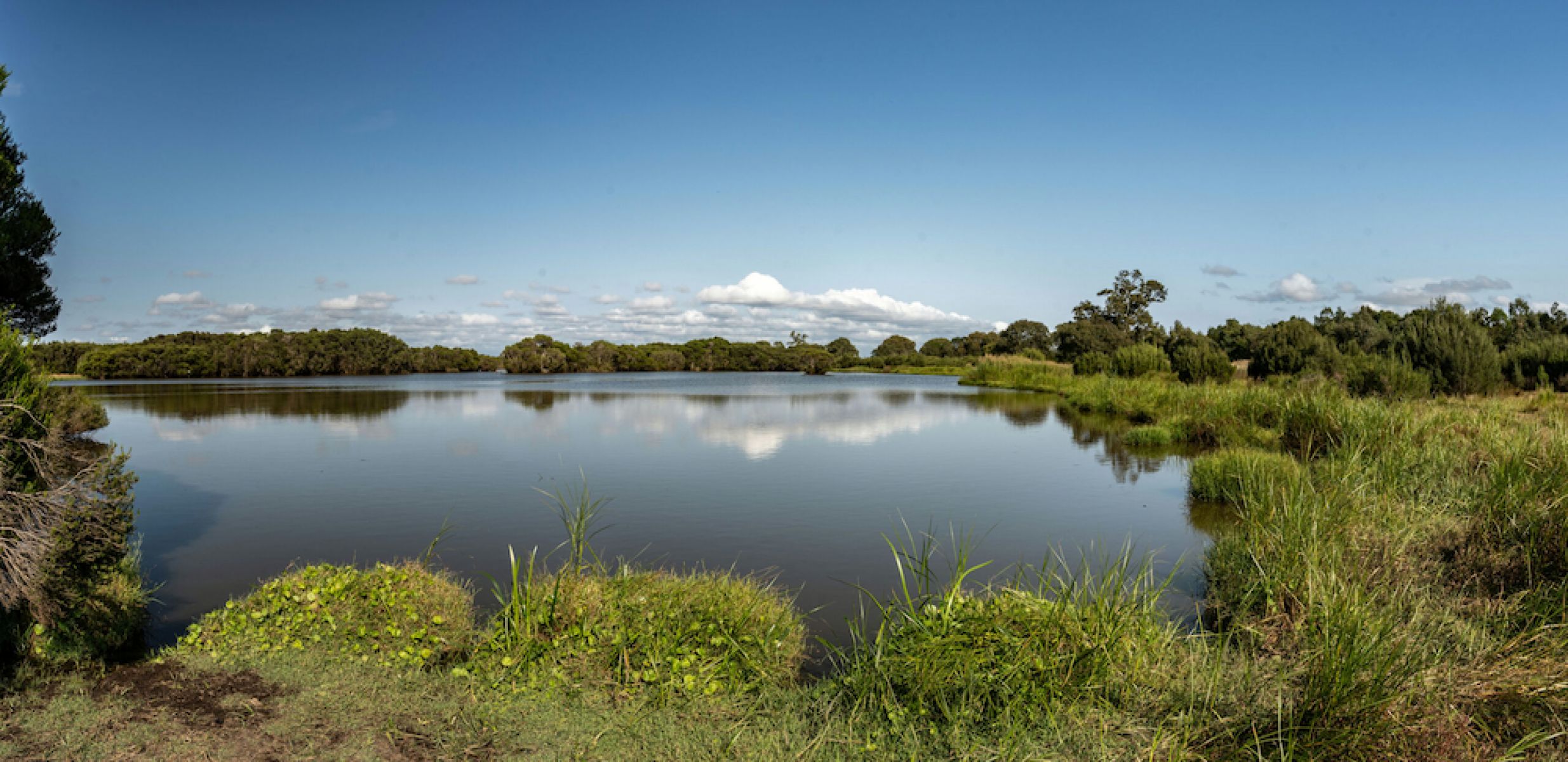 Heart Morass in the Gippsland Lakes